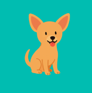 Small dog