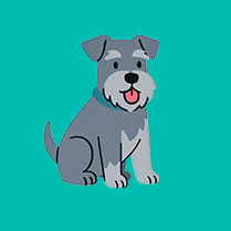 Medium dog