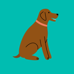 Large dog